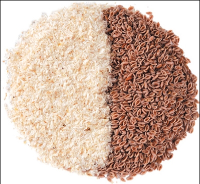 Psyllium husk and psyllium seed