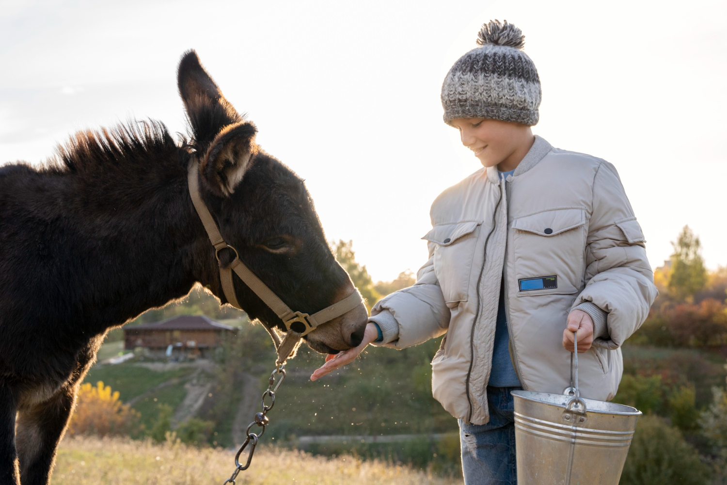 Animal Feed​ and Psyllium Products