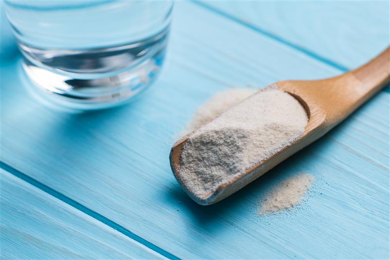 Dietary Supplement industry has a accelerating demand for Psyllium Husk and Psyllium Powder