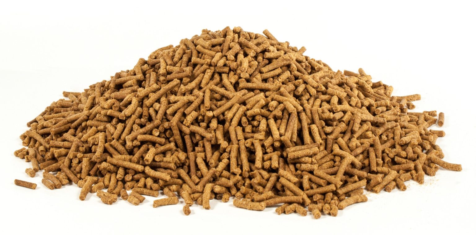 PSYLLIUM FOR ANIMAL FEED