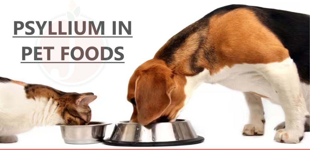 The Benefits of Psyllium in Pet Foods