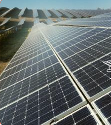 Solar Plant - Psyllium Manufacturers