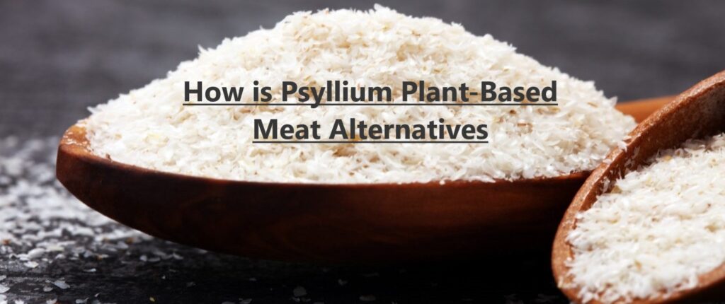 psyllium Plant-Based Meat Alternatives